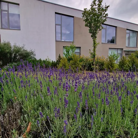 Hollywood Dream 公寓 Kninice u Boskovic